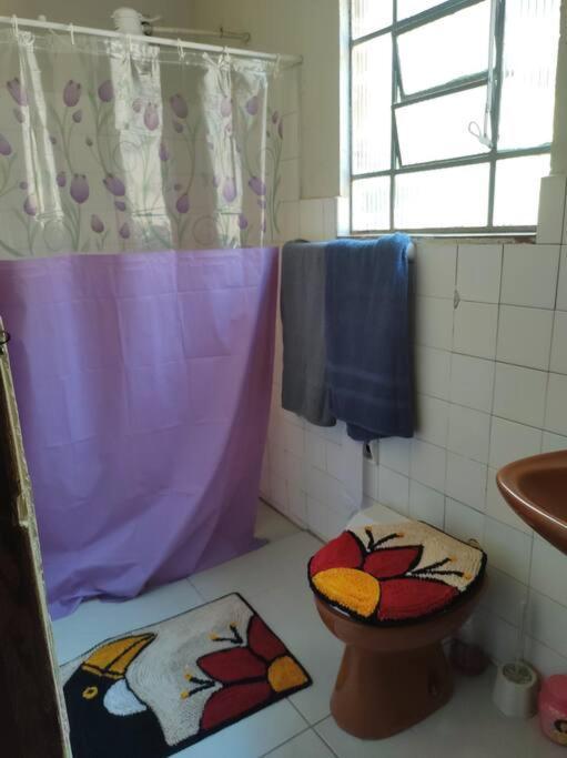 Refugio Dos Viajantes Apartment Piraí Екстериор снимка